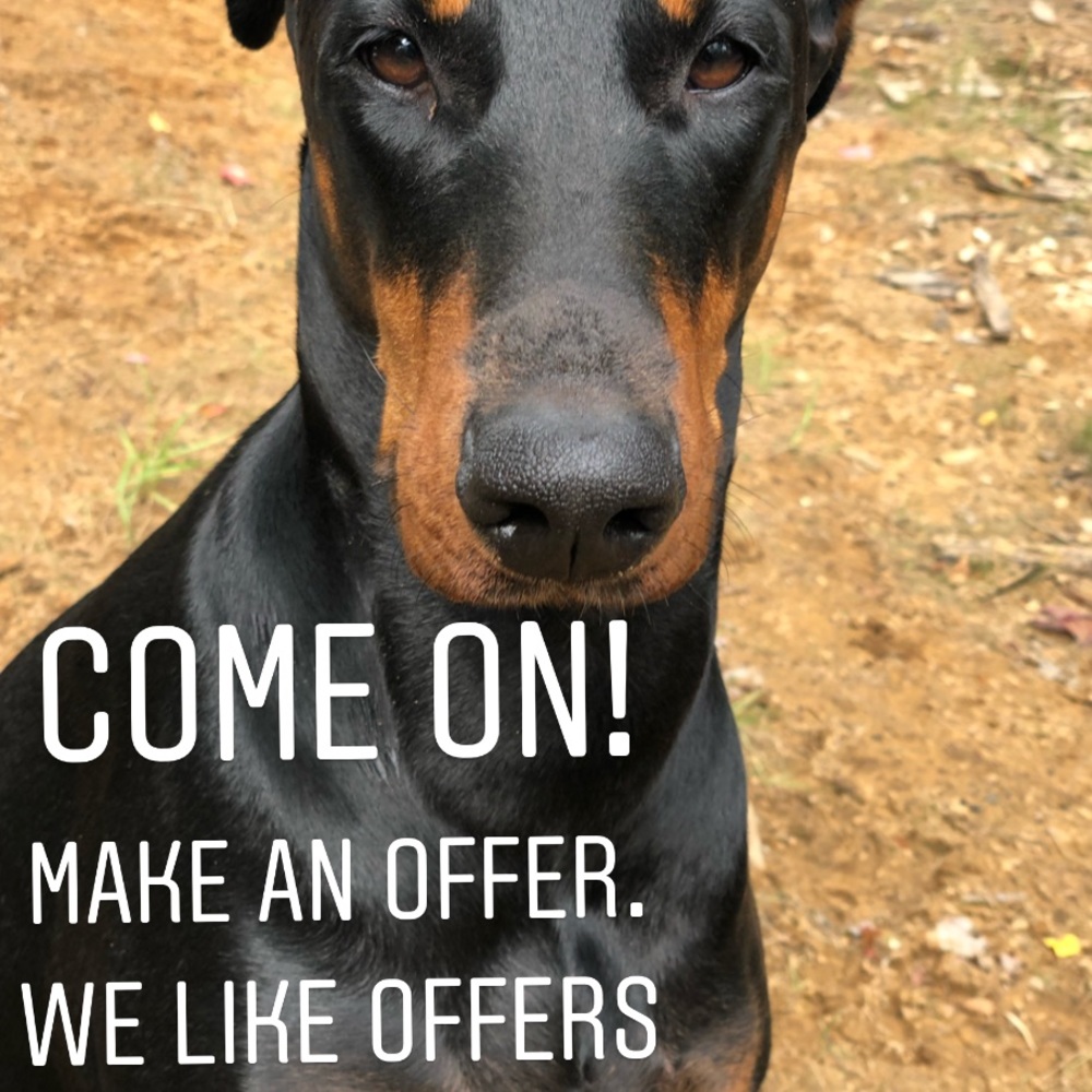 Make an offer!